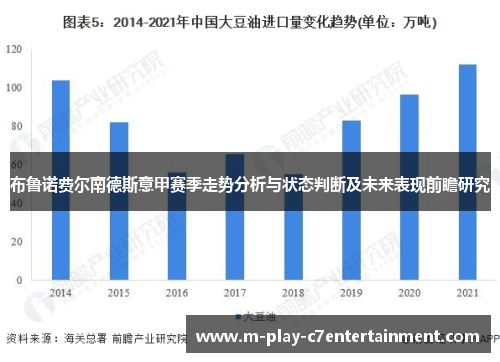 布鲁诺费尔南德斯意甲赛季走势分析与状态判断及未来表现前瞻研究 布鲁诺费尔南德斯意甲赛季走势分析与状态判断及未来表现前瞻研究